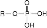 Archivo:Phosphate Group