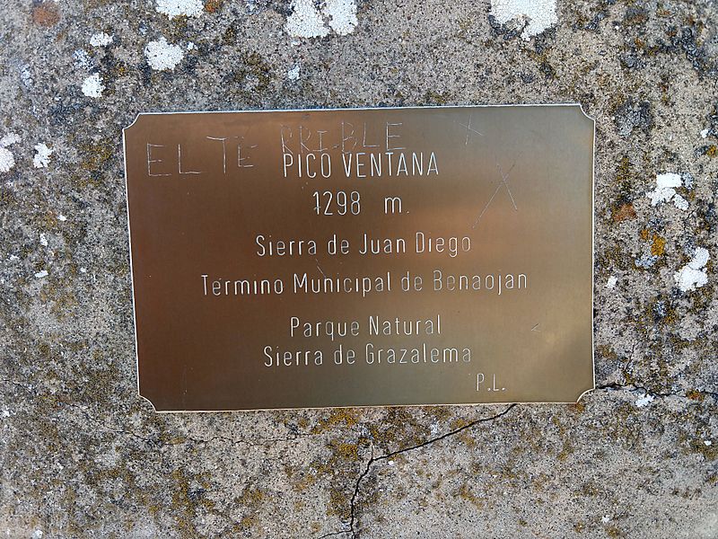 Pico ventana placa