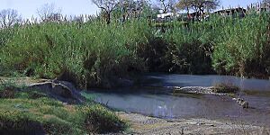 Archivo:Piedras Negras Rio Escondido