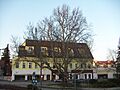 Platane1842Stockerau.B