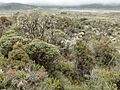 Purace national Parc (Columbia 2)