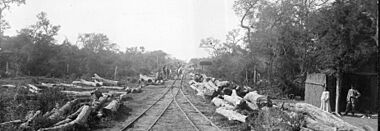 Archivo:Ramal en Colmena. A los lados de las vías, los rollos de quebracho. Diciembre de 1908 (Archivo General de la Nación)