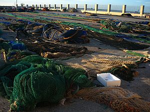Archivo:Sanlucar barrameda redes puerto pesquero de bonanza