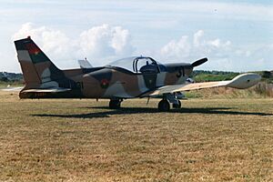 Archivo:Siai Marchetti (F-GOBF), La Tranche-sur-Mer, July 1995