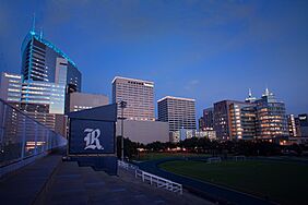 Archivo:Texas medical center sundown