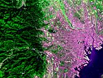 Tokyo Japan taken by Hodoyoshi-3 Satellite.jpg