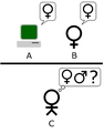 Turing Test Version 1