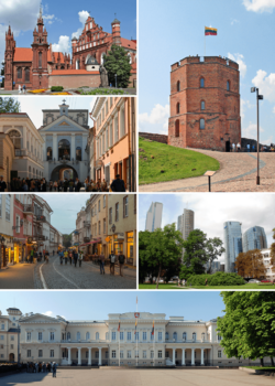 Vilnus Montage (2016).png
