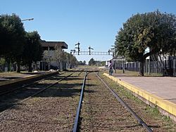 Vista hacia el este desde las vías de la estación General Rodríguez.JPG