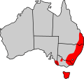 Vombatus ursinus distribution