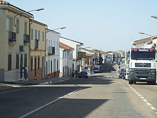 Zorita 28.jpg