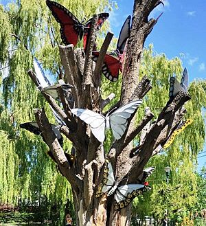 Archivo:Árbol de mariposas en plaza de Gaiman - Chubut
