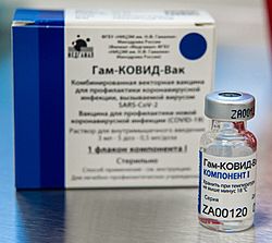 Archivo:Посещение пункта вакцинации от COVID-19 (С. Собянин; декабрь 2020) (3, cropped)