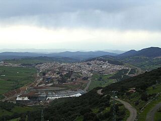 Almadén en verde y gris.jpg