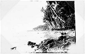 AuaIsland.jpg