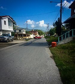 Avenida Principal El Cambur - El Castaño.jpg