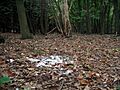 Body of evidence^ - geograph.org.uk - 256618