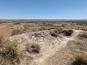 Archivo:Castillo de Ribas de Jarama 01