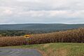 Catawissa Mountain from Ringtown Mountain Road
