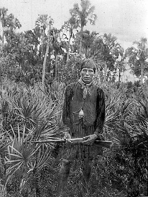 Archivo:Charley Cypress Seminole Everglades