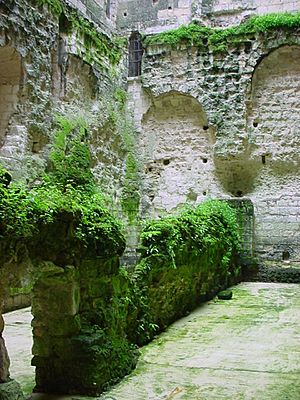 Archivo:ChristianBauer Chateau de Loches dungeon