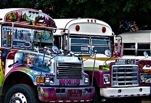 Archivo:Coloridos buses en la terminal de transportes de Colón