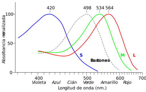 Cone-absorbance-es