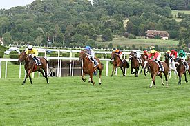 Deauville-Clairefontaine galop 2.jpg