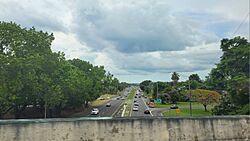 Expreso PR-2, salida hacia la carretera PR-100, Hormigueros, Puerto Rico (3).jpg