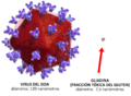 Gluten comparativa con virus.4