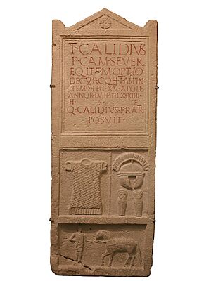 Archivo:Grabstein Titus Calidius Carnuntum