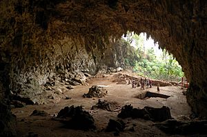 Archivo:Homo floresiensis cave