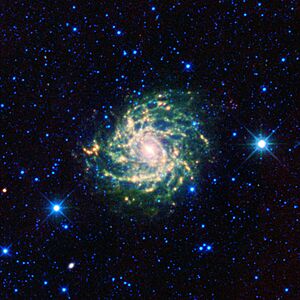 Archivo:IC 342