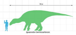 Archivo:Iguanodon scale