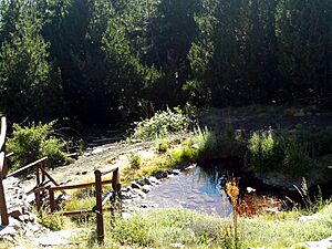 Archivo:JardinBotanicoEndemismosSierraNevadaBorreguil