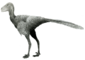 Life reconstruction of Stenonychosaurus