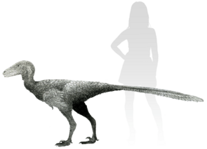 Archivo:Life reconstruction of Stenonychosaurus