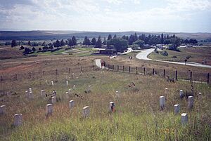 Archivo:Little Bighorn cemetery overview