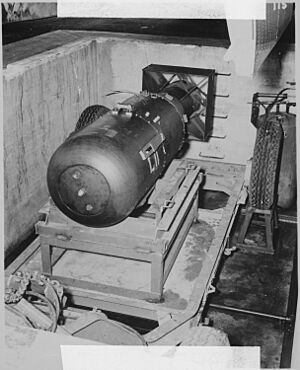 Archivo:Little Boy - August 1945 - Flickr - The Official CTBTO Photostream