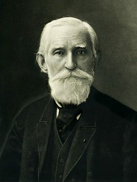 Pafnuty Lvovich Chebyshev