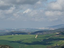 Vista de Montellano desde Prado del Rey.