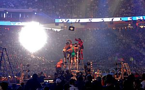 Archivo:Professional wrestling ladder match
