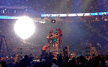 Archivo:Professional wrestling ladder match
