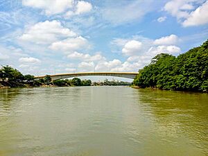 Archivo:Puente Segundo Centenario
