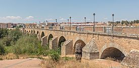 Puente de Palmas, Badajoz, España, 2020-07-22, DD 89.jpg