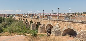 Archivo:Puente de Palmas, Badajoz, España, 2020-07-22, DD 89