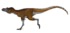 Qianzhousaurus sinensis by PaleoGeek.png