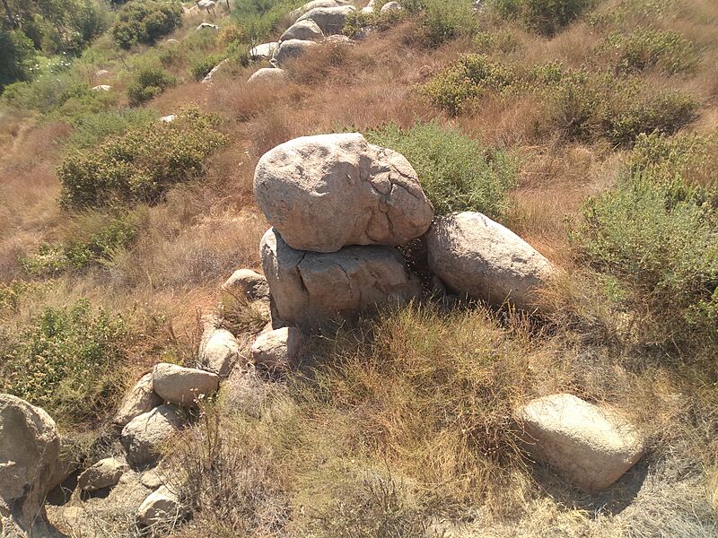 Roca Granodiorita Rancho Heredia