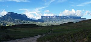 Archivo:Roraima