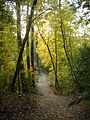 S-SK-Riverbank